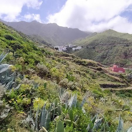 Casa-Solarium En La Naturaleza سانتا كروز دي تينيريف المظهر الخارجي الصورة